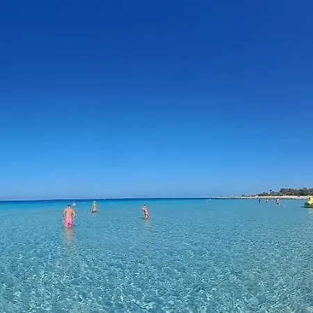 Chicca D'azzurro