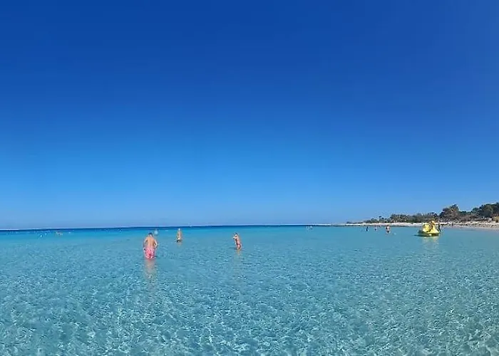 Chicca D'azzurro